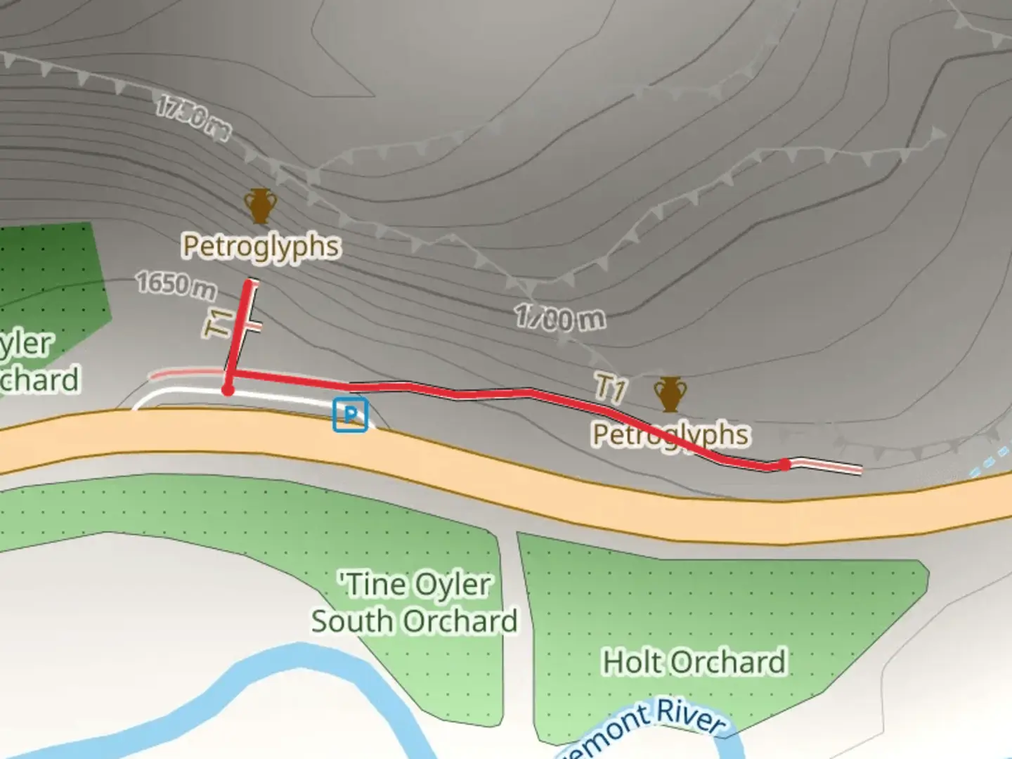 An image depicting the trail Tine Oyler North Orchard and its surrounding area.