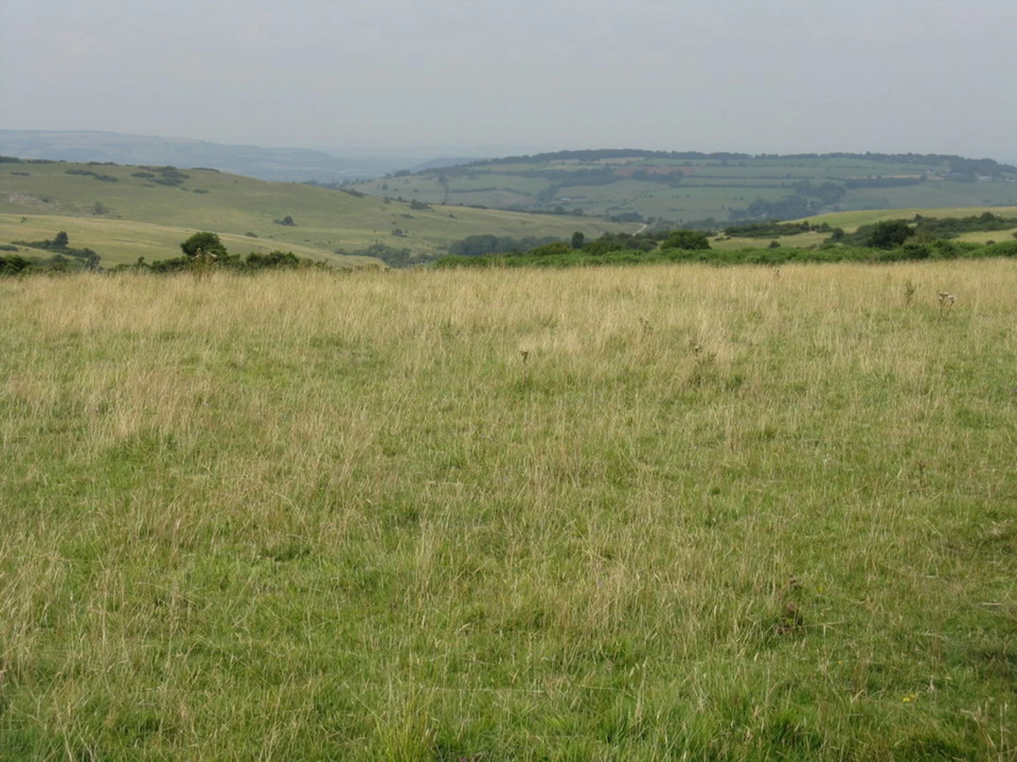 An image depicting the trail Cleeve Hill Common ring and its surrounding area.