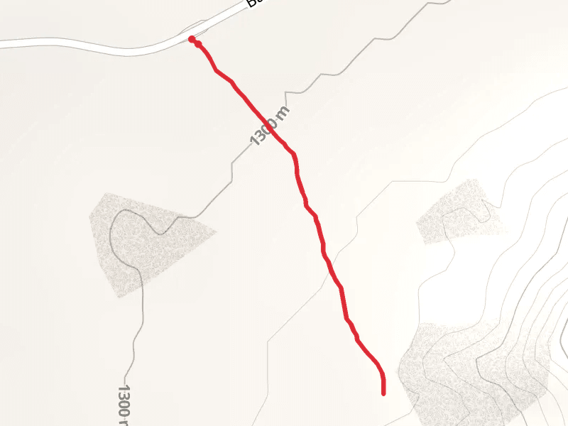 Unknown Trail