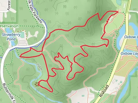 Squire's Lane Trail, Bridle Trail and White Pine Loop Trail