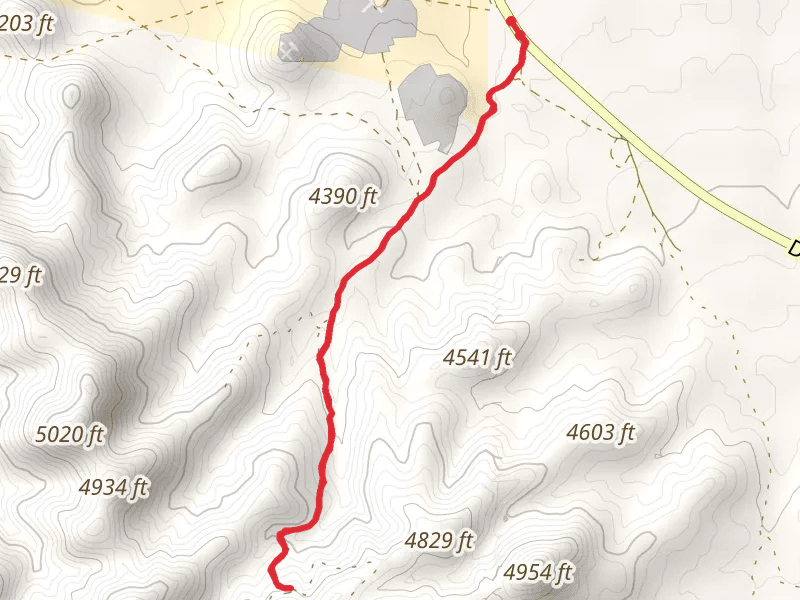 DW Ranch Road Out and Back