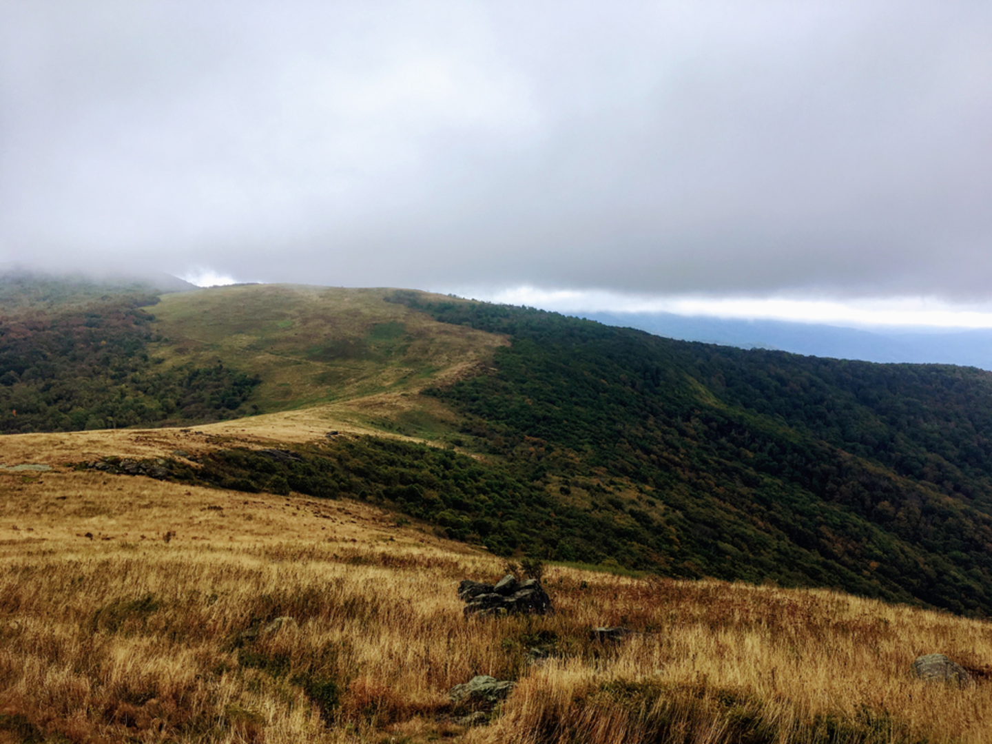 An image depicting the trail Yellow Mountain, Little Hump Mountain and Hump Mountain via Appalachian Trail and its surrounding area.