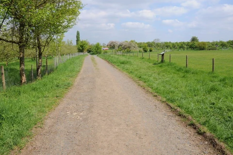 Pershore and Besford Loop via Tiddesley Wood