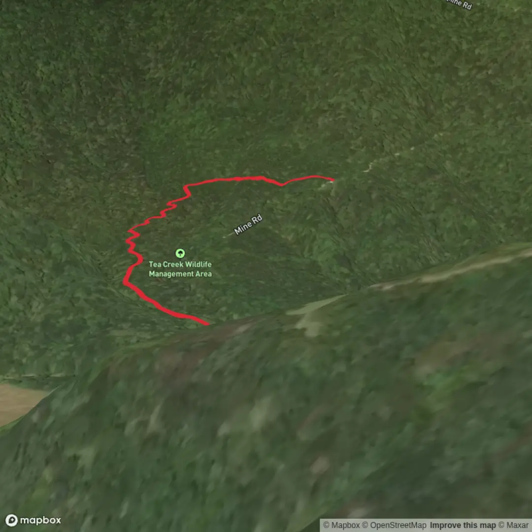 An image depicting the trail Roaring Run Trail and its surrounding area.