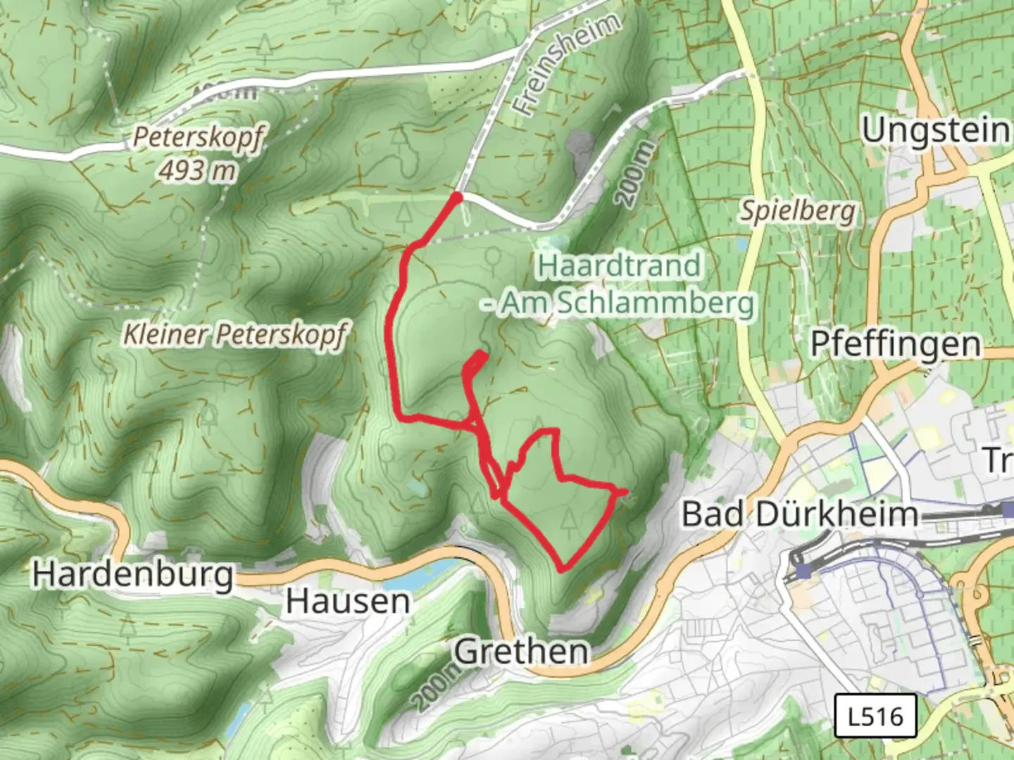 An image depicting the trail Ricardus Blick, Teufelsstein and Brunholdisstuhl Loop and its surrounding area.