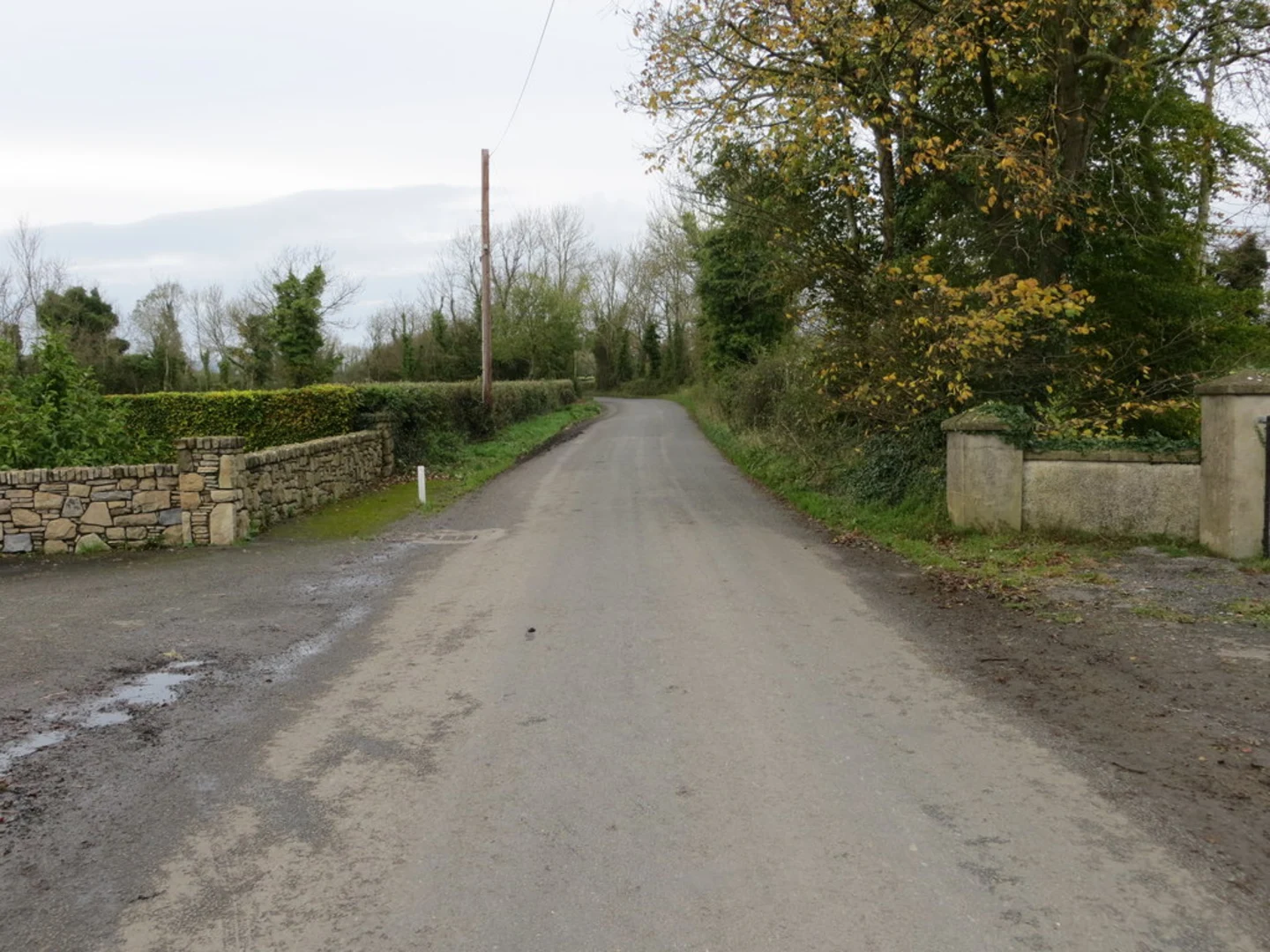 An image depicting the trail Granstown Wood and Lake Nature Reserve Lake Trail and its surrounding area.