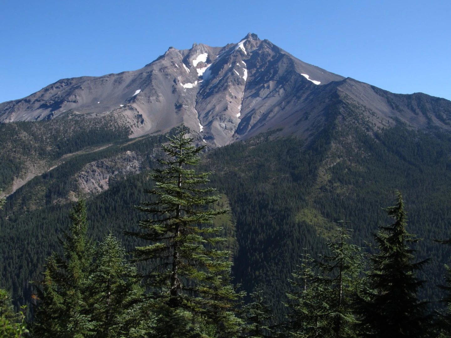 An image depicting the trail Pamelia Lake and Lake of The Woods Trail and its surrounding area.