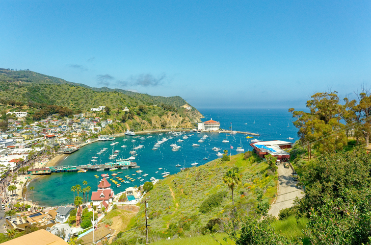 Walk along Avalon Bay