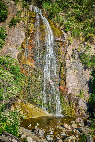 Te Aroha Summit Track