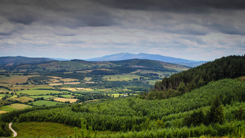 Ballyhoura - Nature Trail