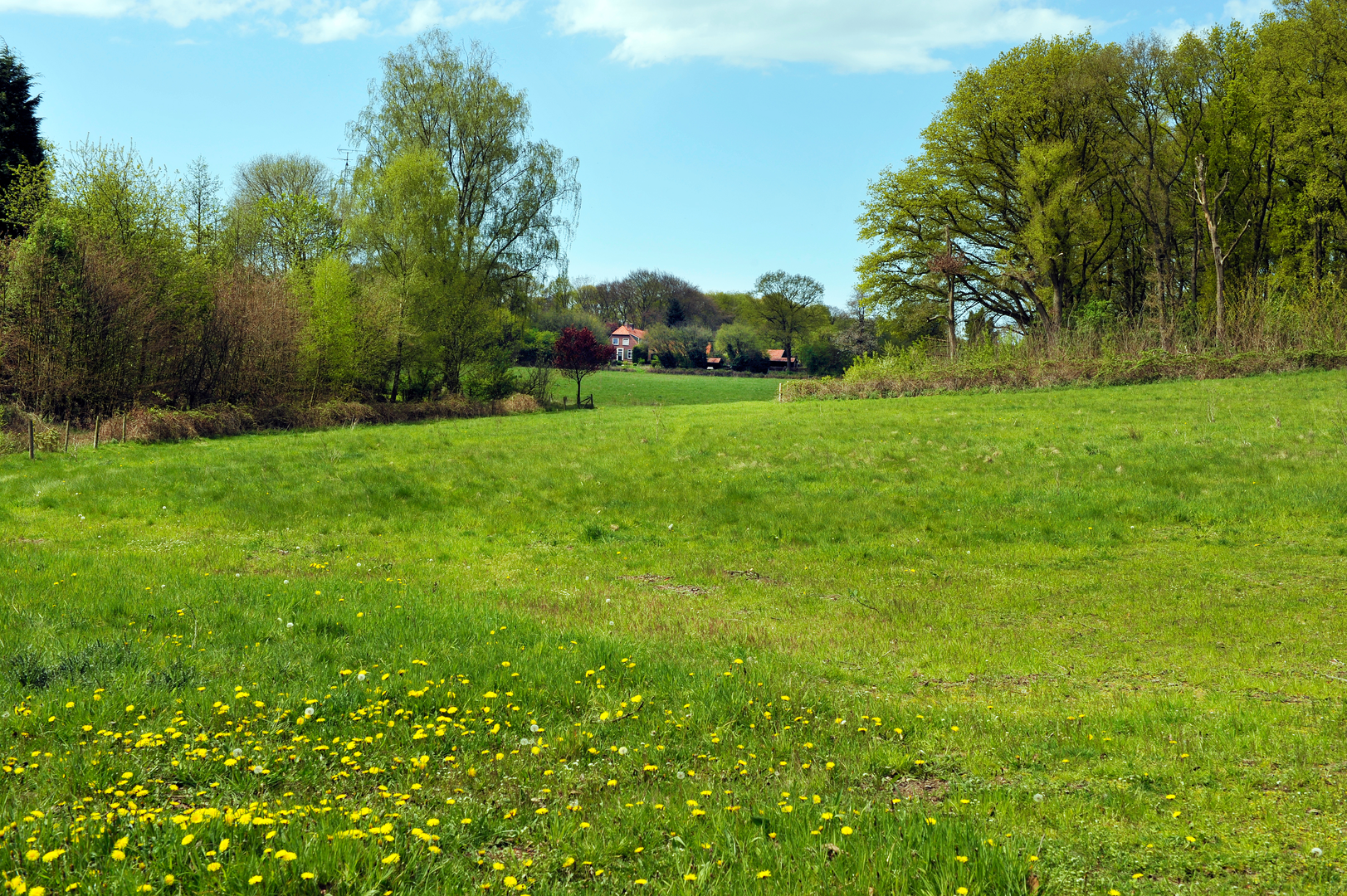 An image depicting the trail Centrum to Cuijk via Klein Amerika, Ruine Romeinse Villa and Mookerheide and its surrounding area.