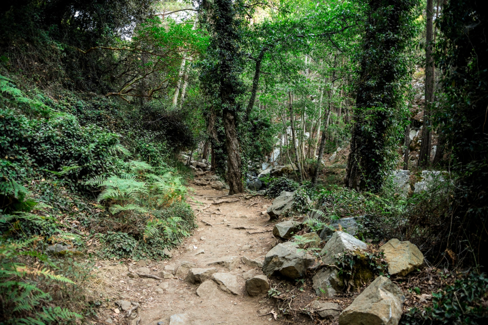 Kalidonia Trail | Pano Platres | Cyprus