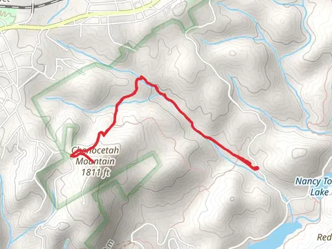 Chenocetah Mountain via Rhododendron Trail