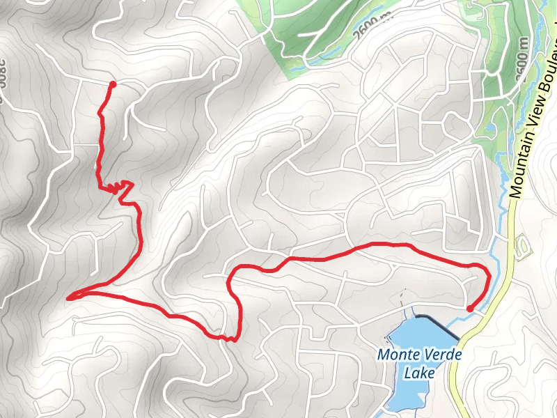 Cougar Trail