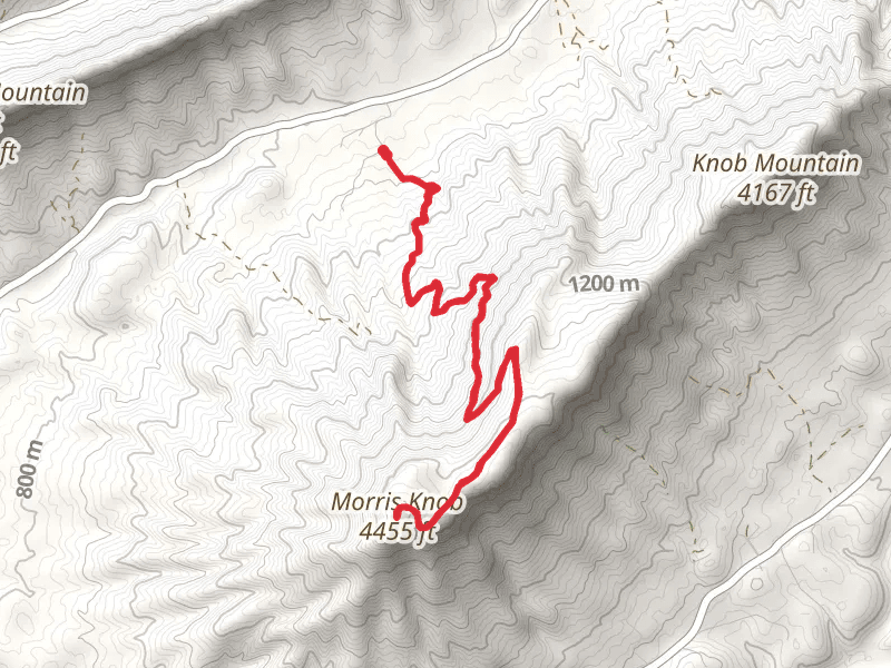 Morris Knob Trail