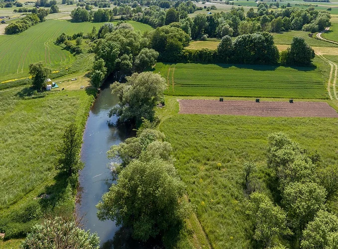 Brennberg to Wiesent Walk via Wiesentener Forst