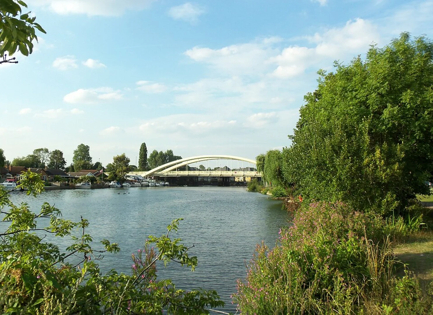 An image depicting the trail Shepperton Loop and its surrounding area.