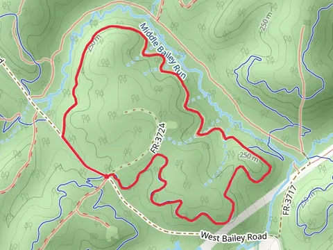 Wild Turkey and Hacksaw Loop Trail