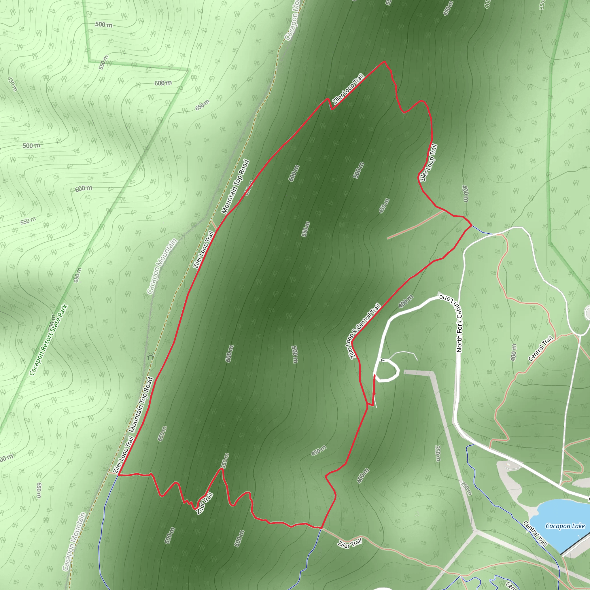 Ziler Loop and Central Trail mobile static map