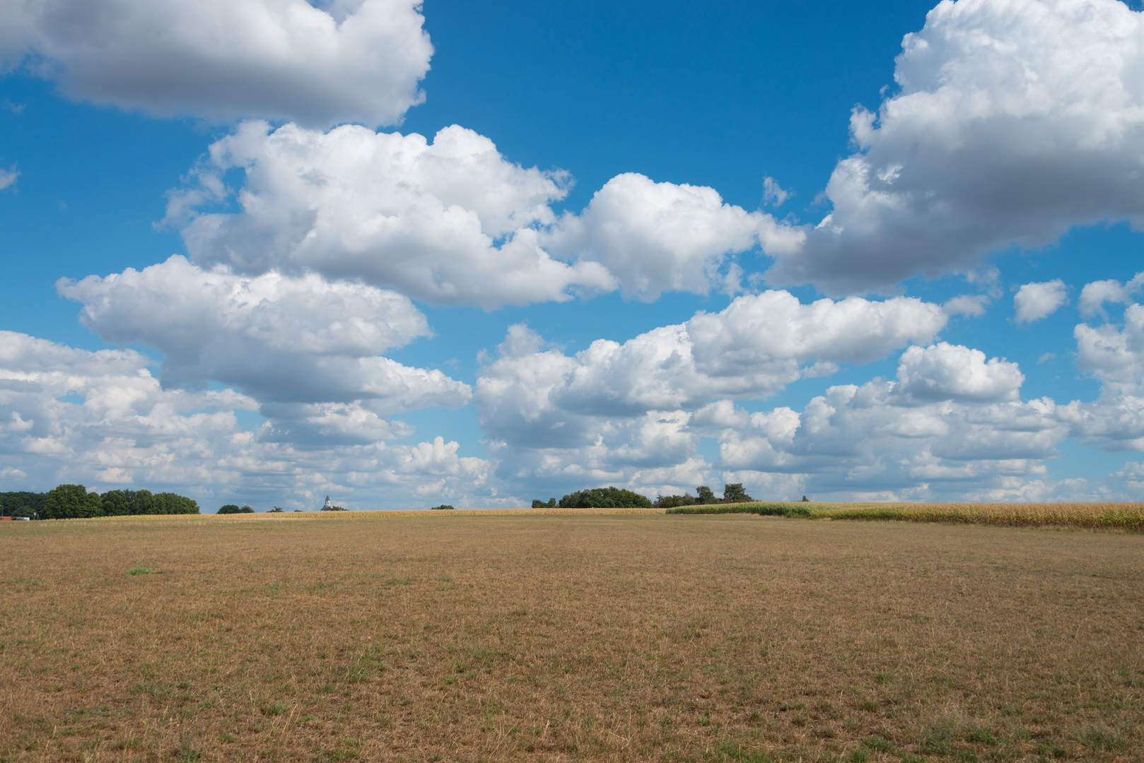 An image depicting the trail Almelos Weg and Tubbergen Loop and its surrounding area.