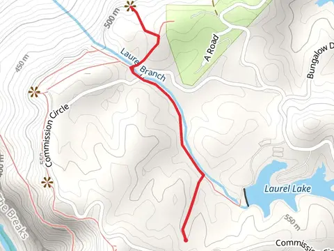 Laurel Branch Trail