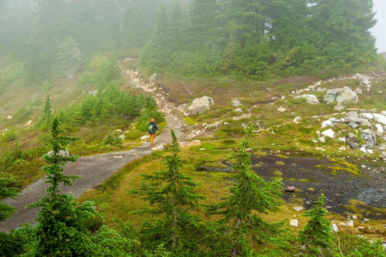 An image depicting the trail First Creek Trail and its surrounding area.