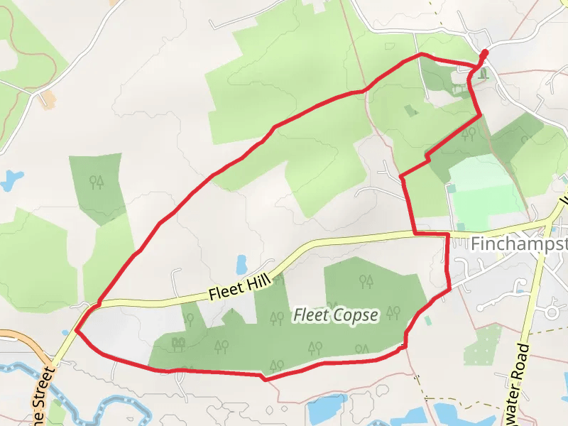 Fleet Copse