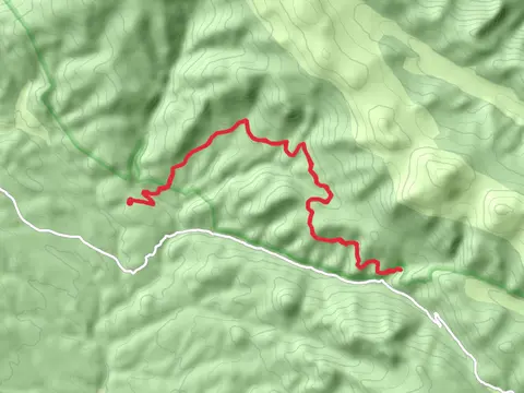 Colorado Trail from Rock Creek Road