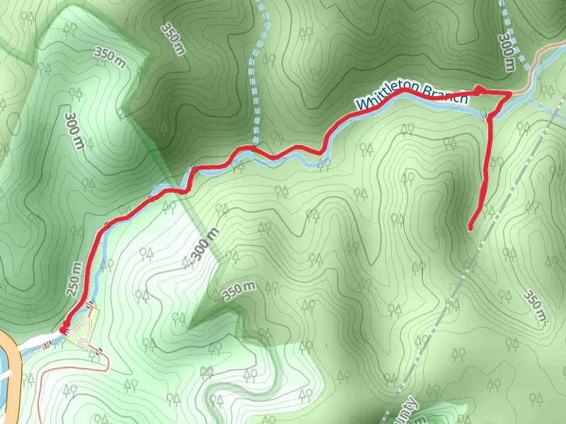 Sheltowee Trace Trail and Whittleton Arch Trail