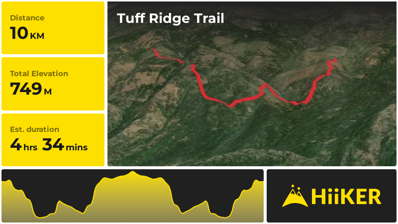 Tuff Ridge Trail | Kittitas County | Washington