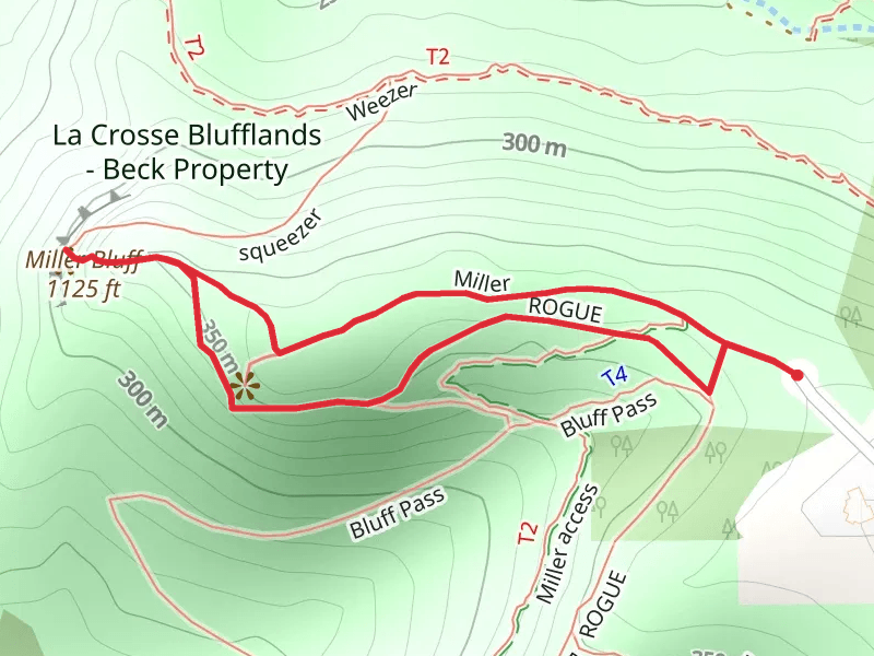 Miller Bluff Loop