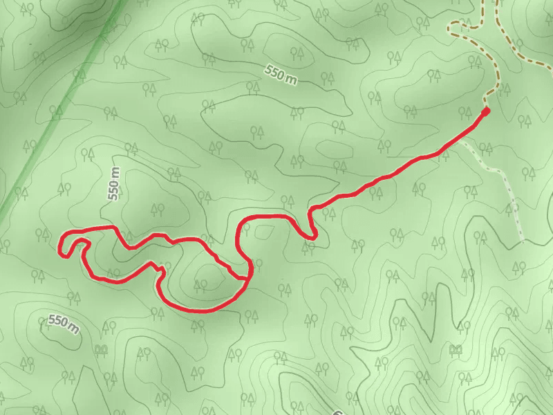 Polecat Hollow Trail
