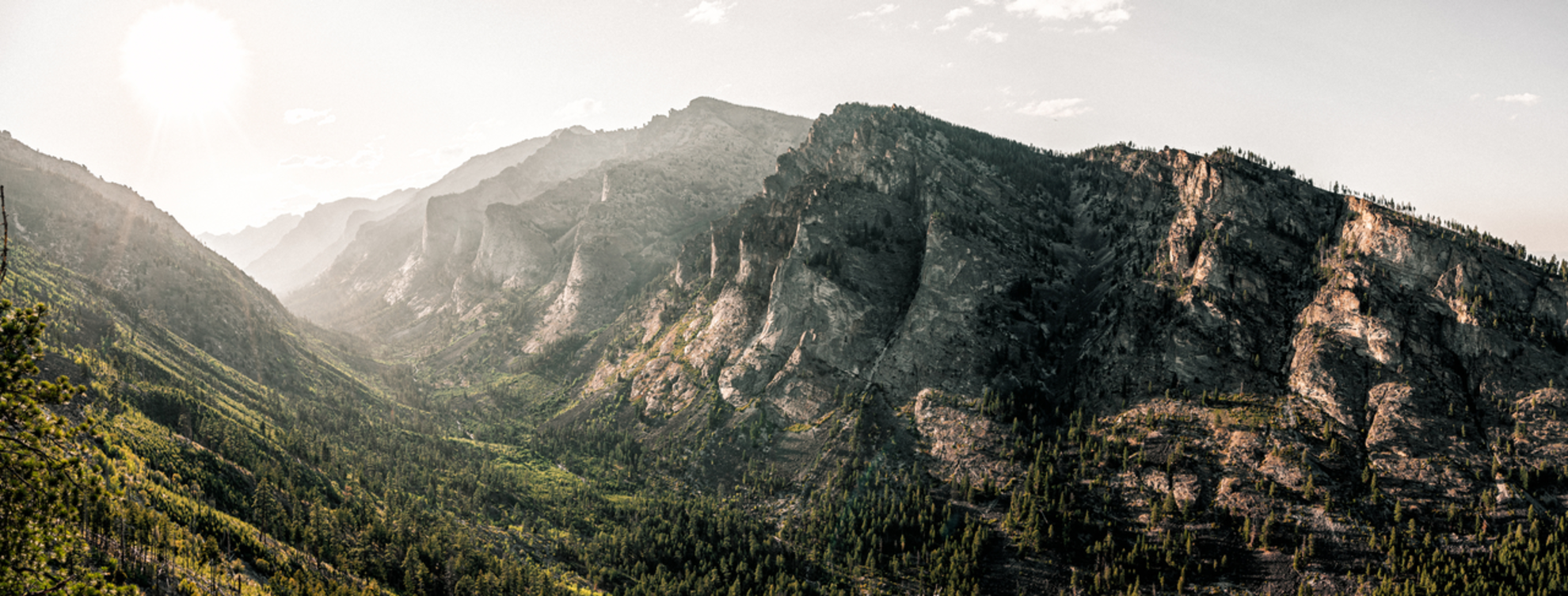 An image depicting the trail Canyon Creek Trail and its surrounding area.