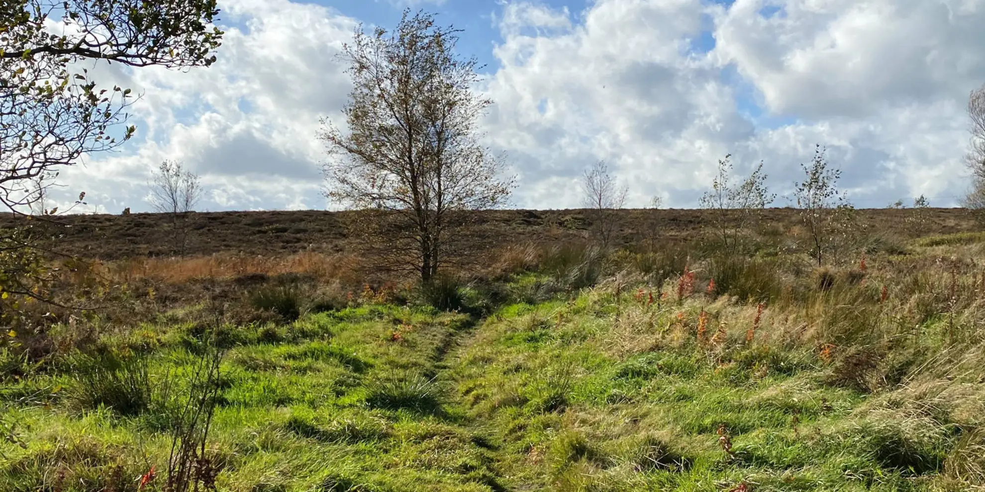An image depicting the trail Howdale Moor and Brow Moor Walk and its surrounding area.