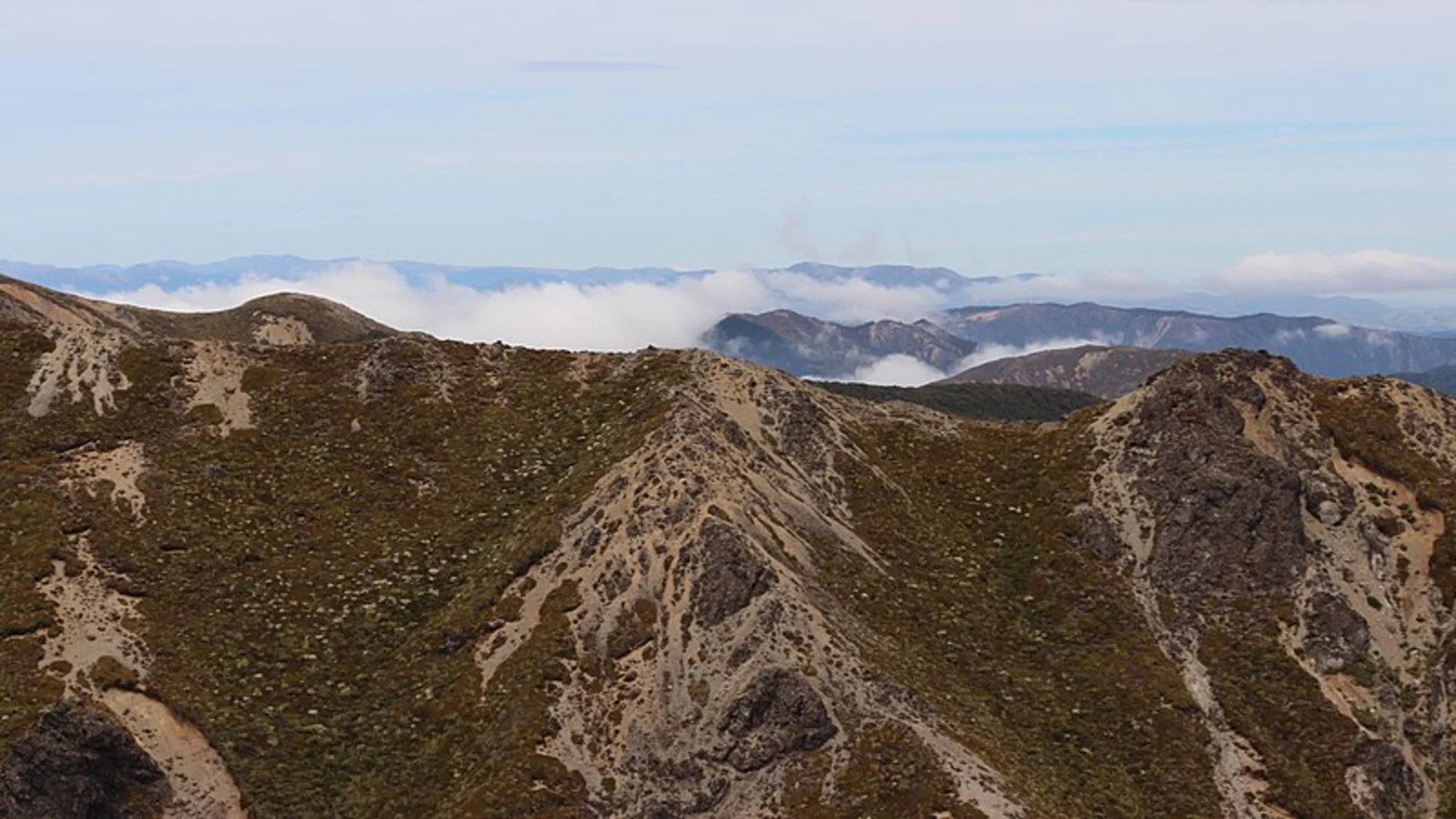 An image depicting the trail Makahu Saddle to Trials Spur and its surrounding area.