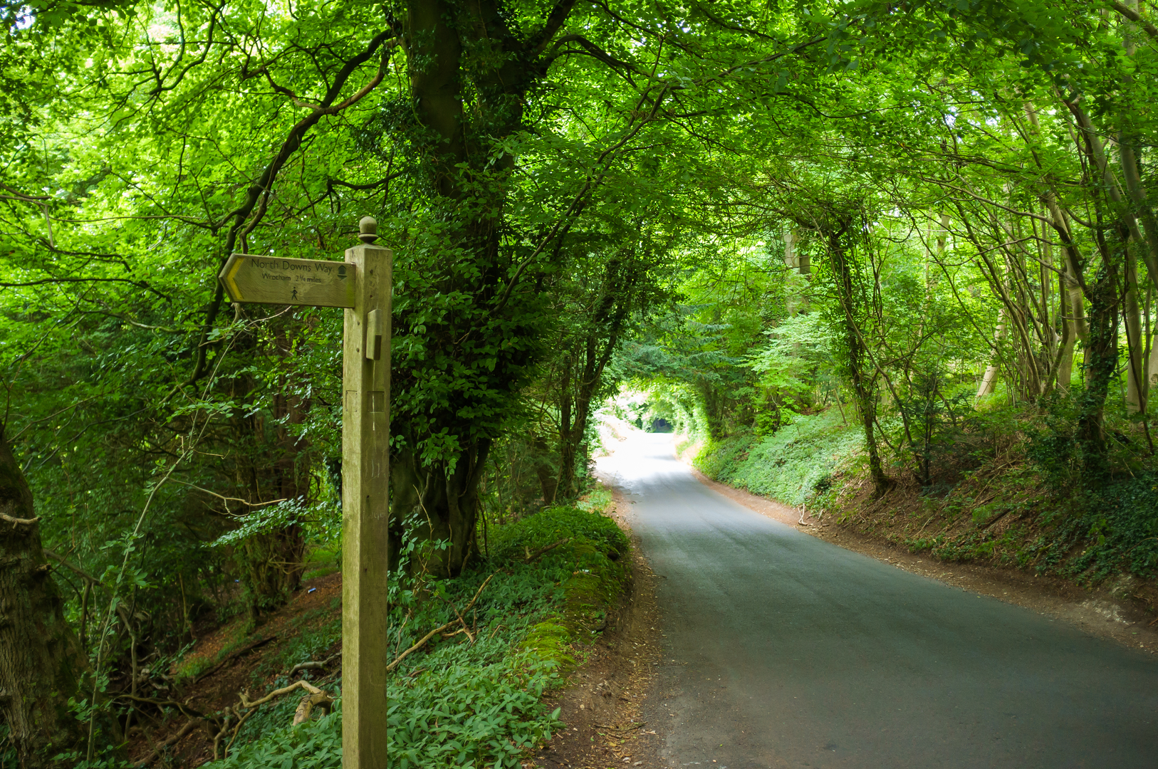 An image depicting the trail North Downs Way and its surrounding area.
