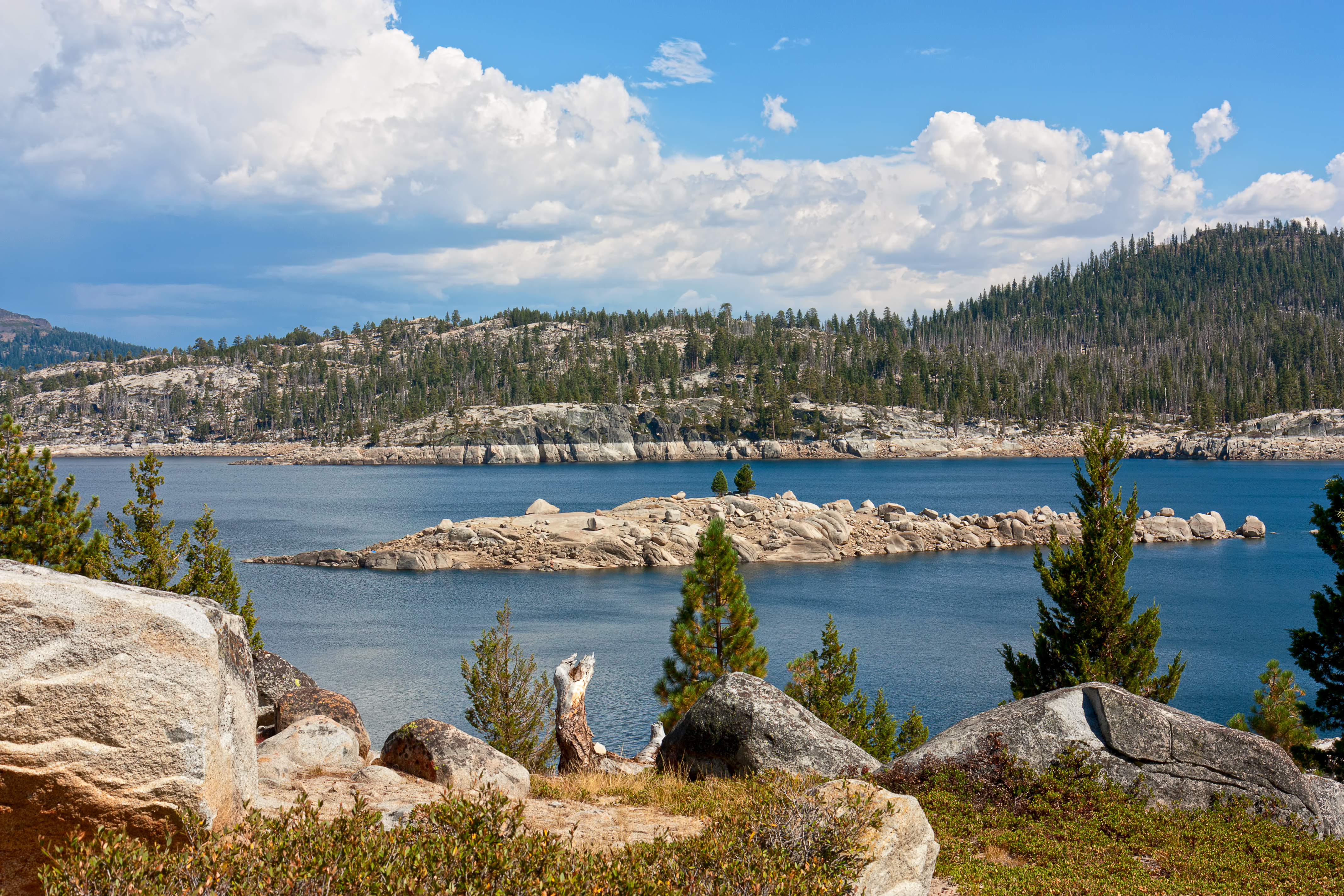An image depicting the trail Stanislaus National Forest and its surrounding area.
