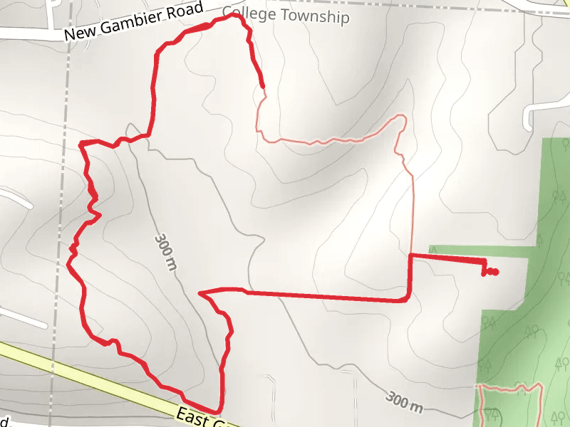 Wolf Run