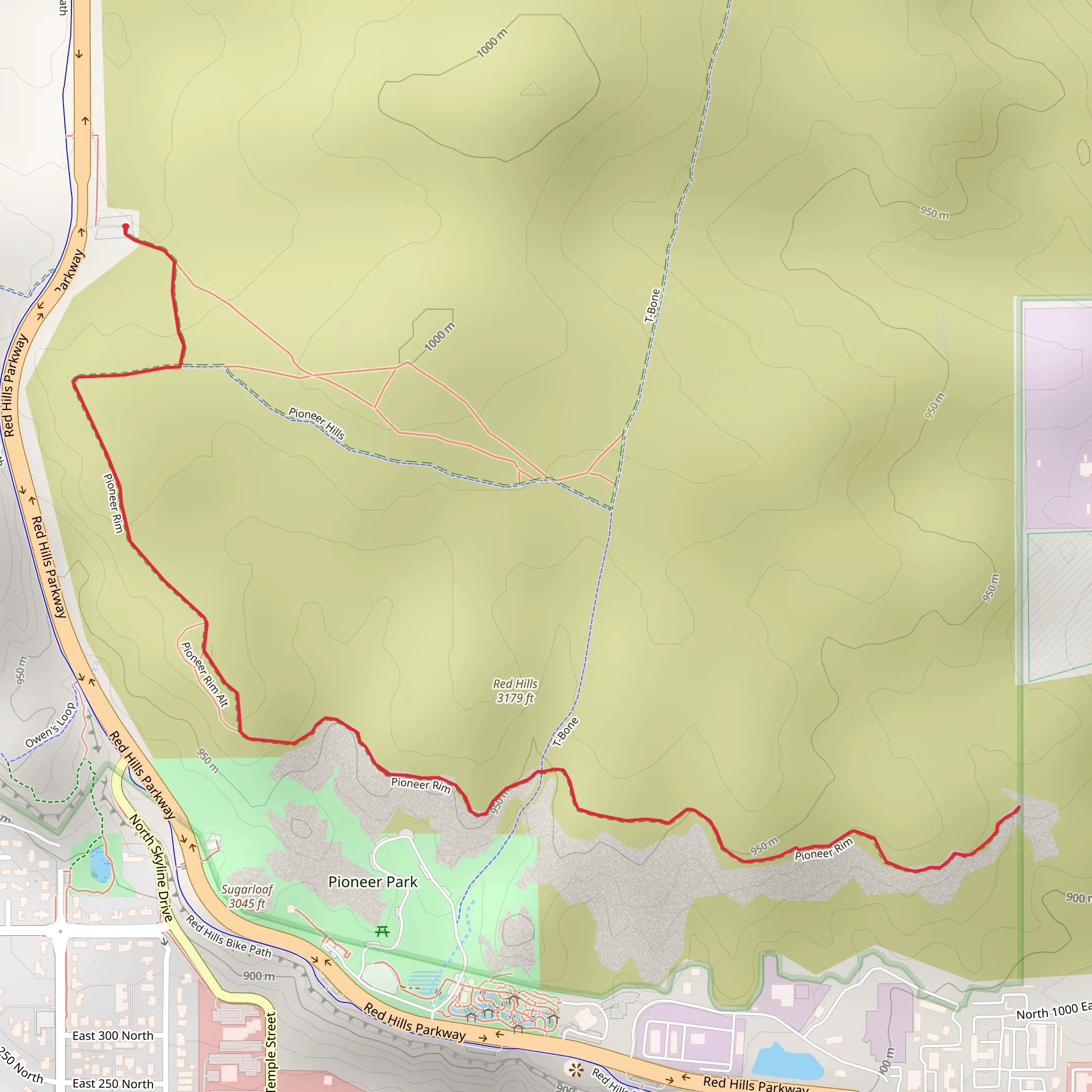 Pioneer Rim Trail mobile static map