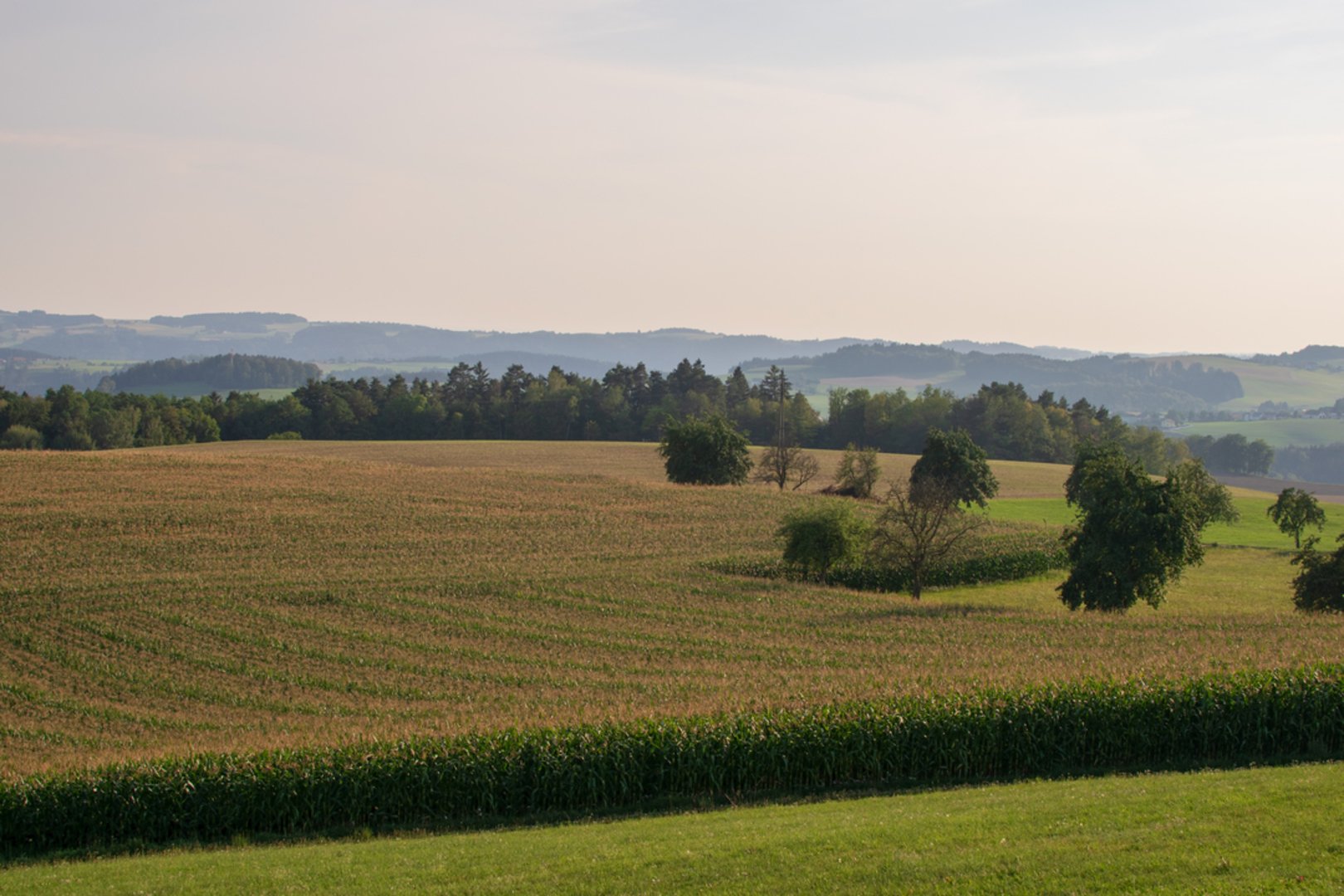 An image depicting the trail Kirchberg Donausteig Loop Trail and its surrounding area.
