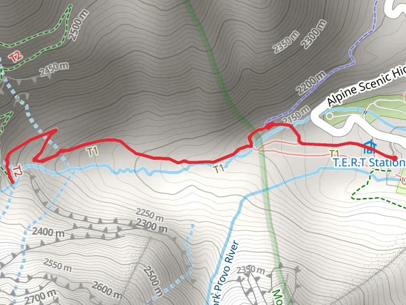 Mount Timpanogos Trail