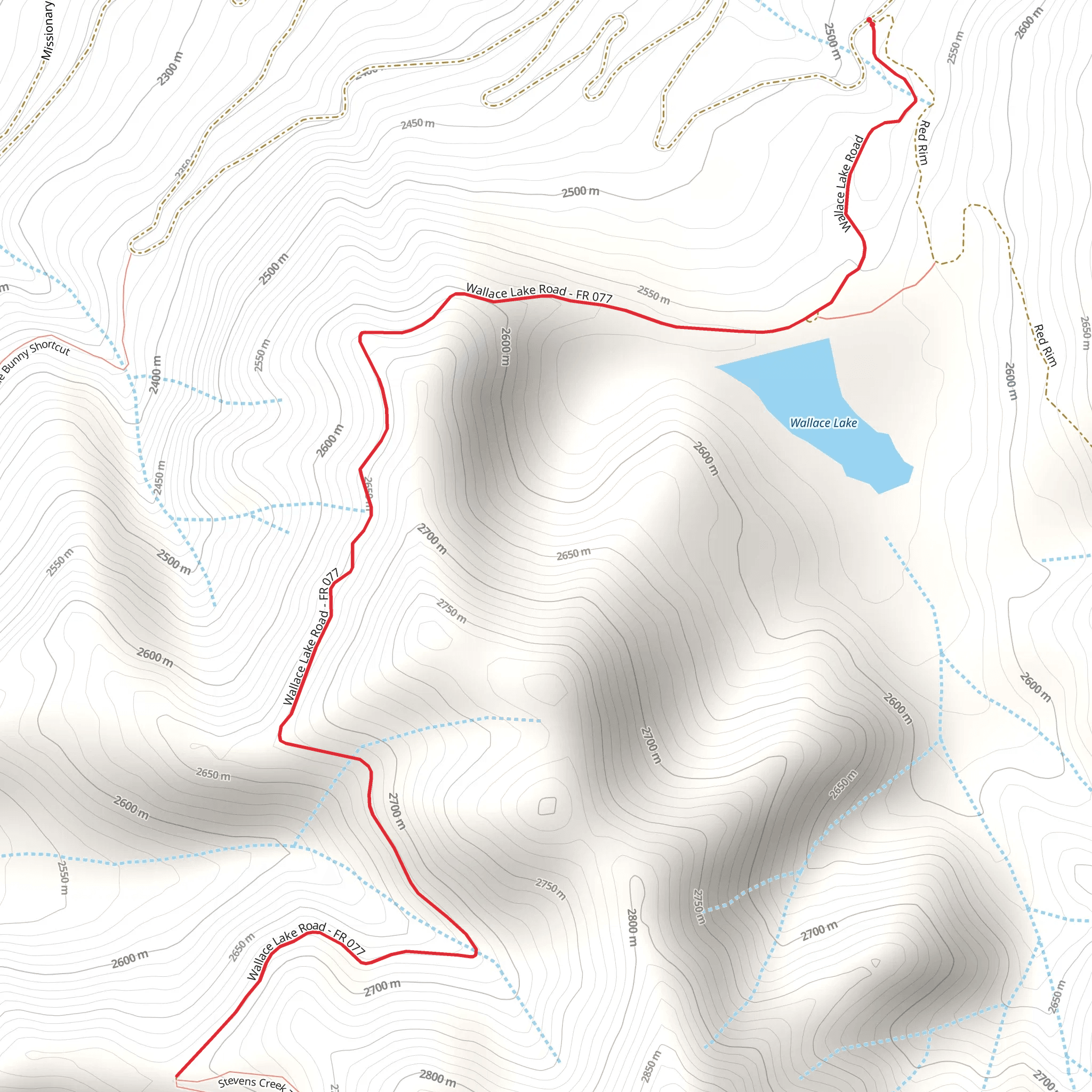 Wallace Lake Road mobile static map