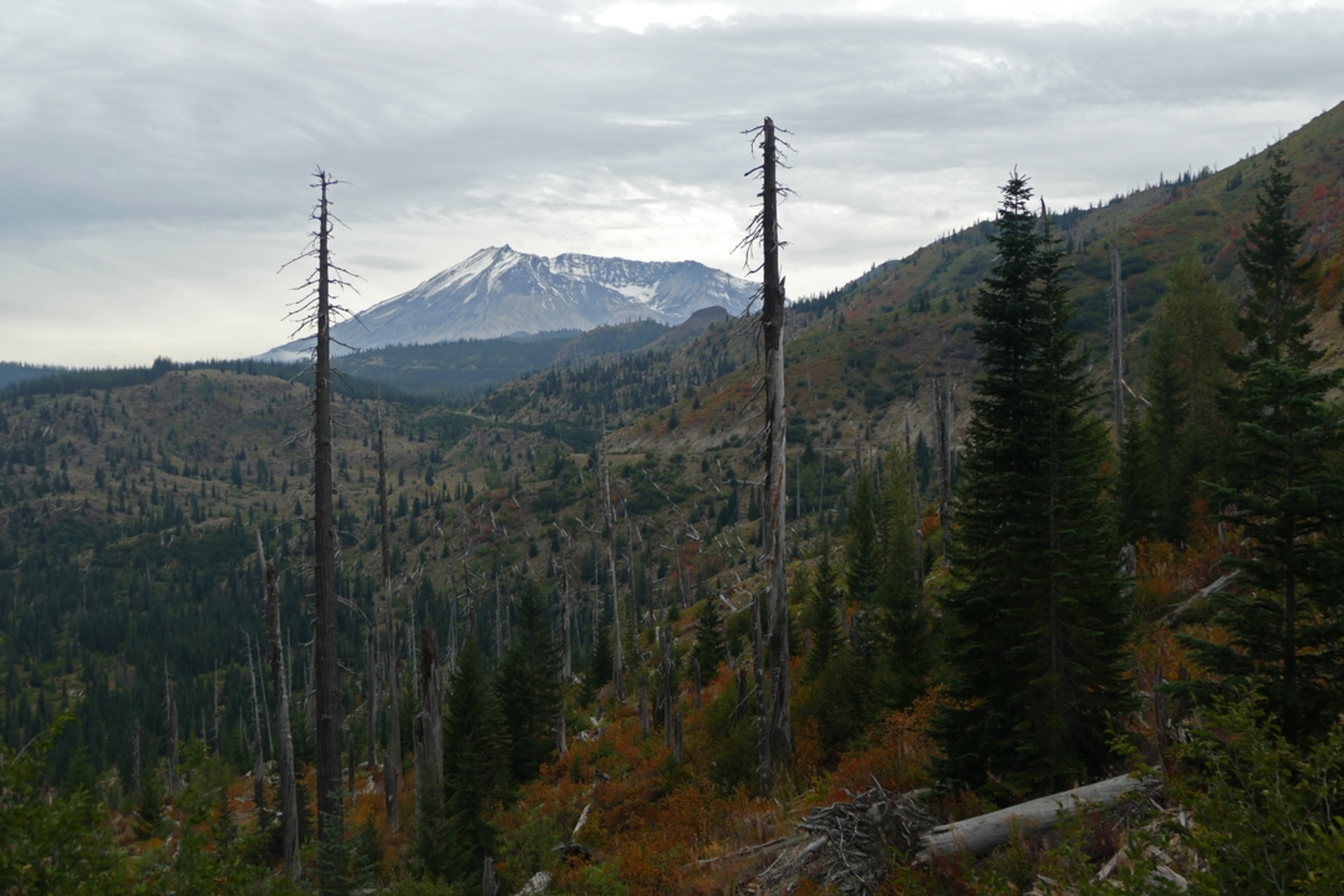 An image depicting the trail Cussed Hollow Trail and its surrounding area.