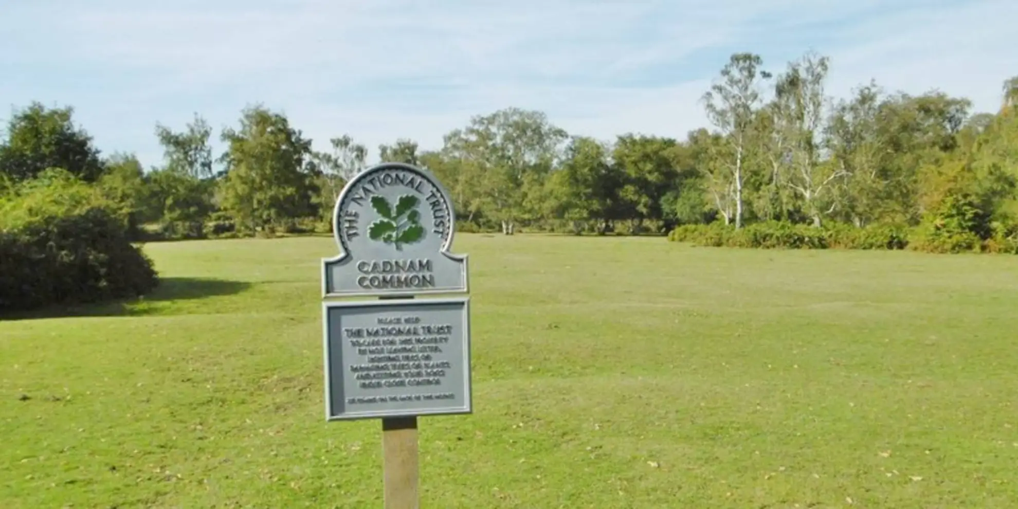An image depicting the trail Copythorne and Cadnam Common Walk and its surrounding area.