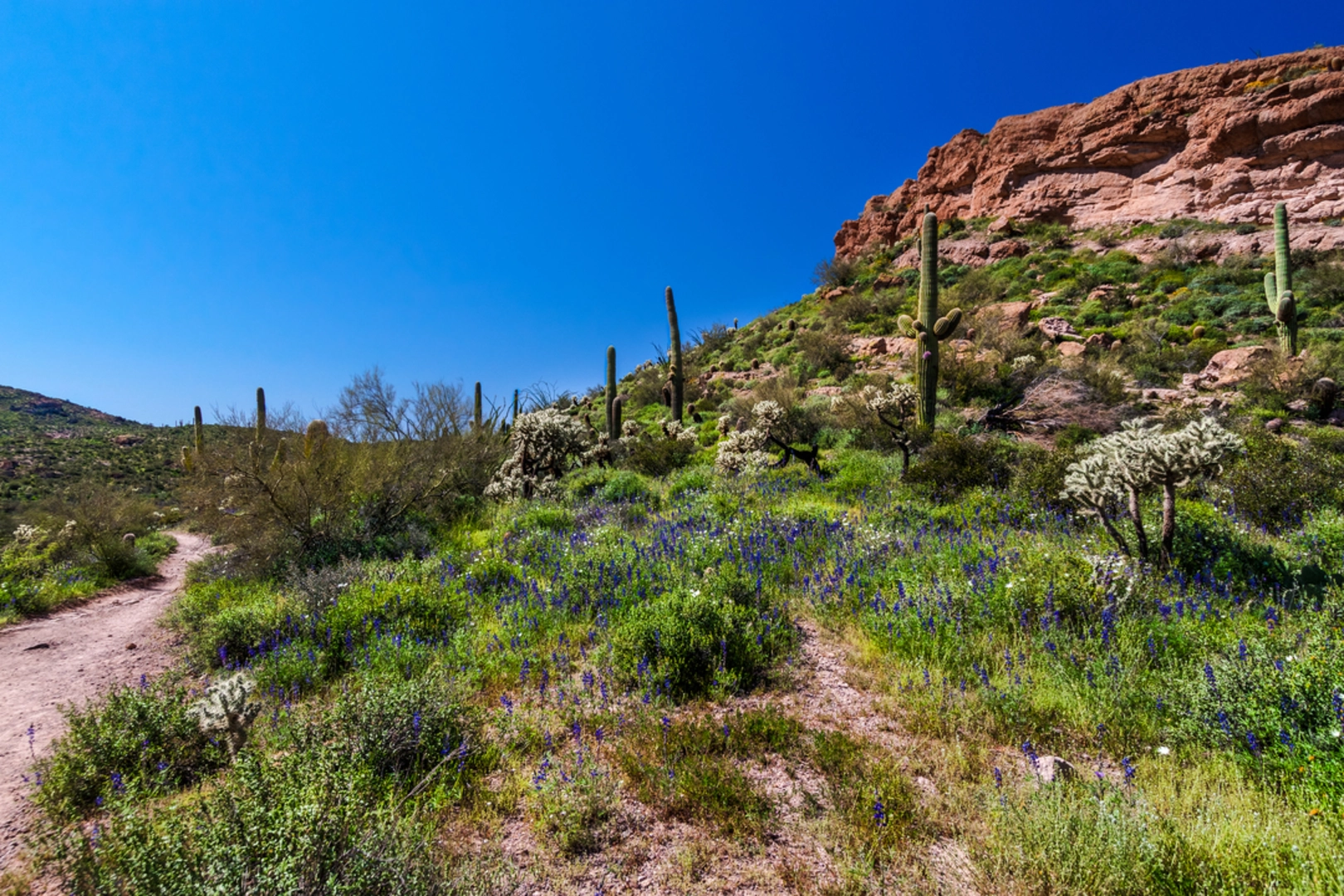 An image depicting the trail Black Mesa Trail and Dutchman Loop Trail and its surrounding area.