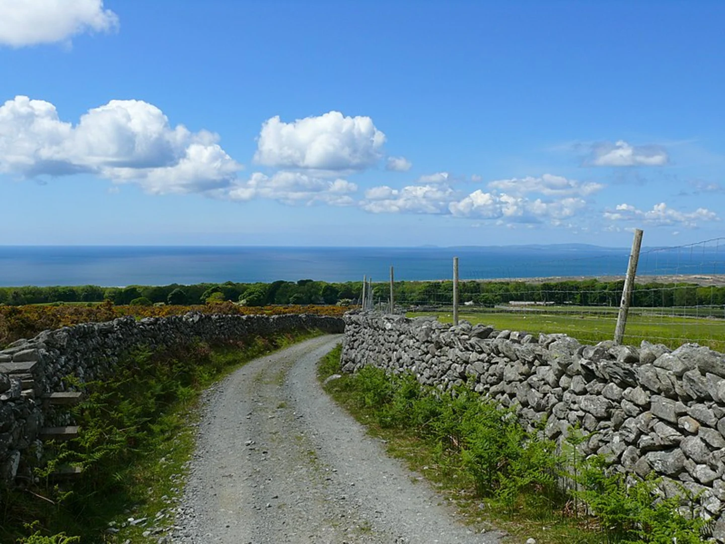 An image depicting the trail Craig y Ddinas Walk and its surrounding area.