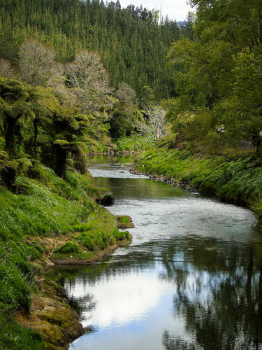 Karangahake Track Karan to Waikino