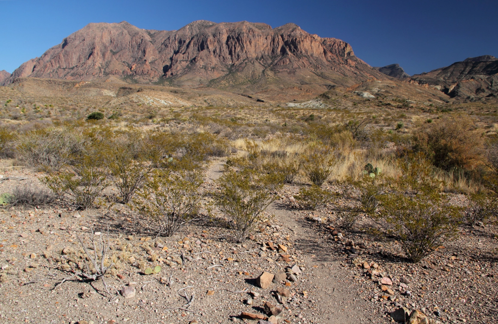 An image depicting the trail Ward Spring Trail and its surrounding area.