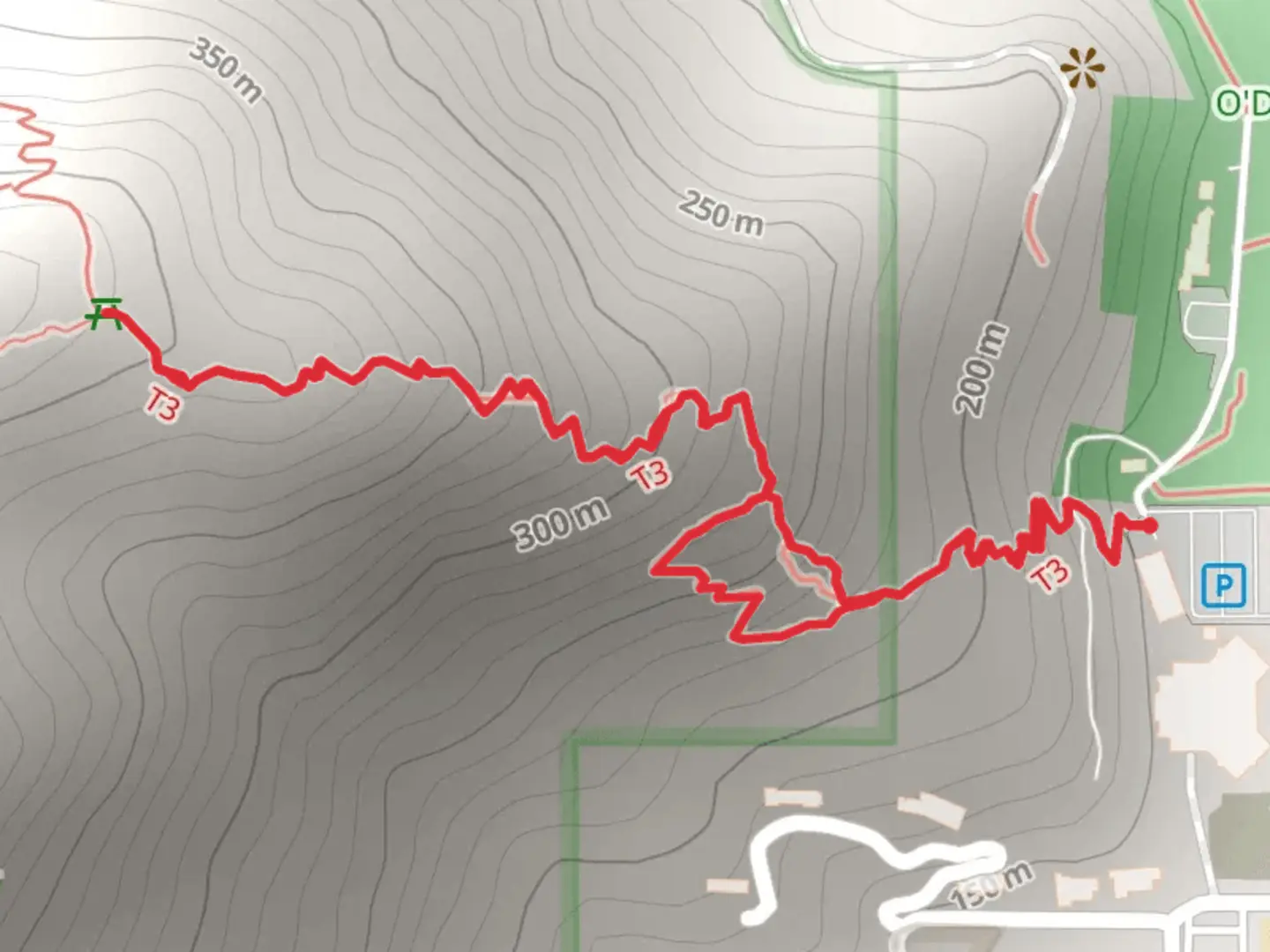 An image depicting the trail Skyline Trail and its surrounding area.
