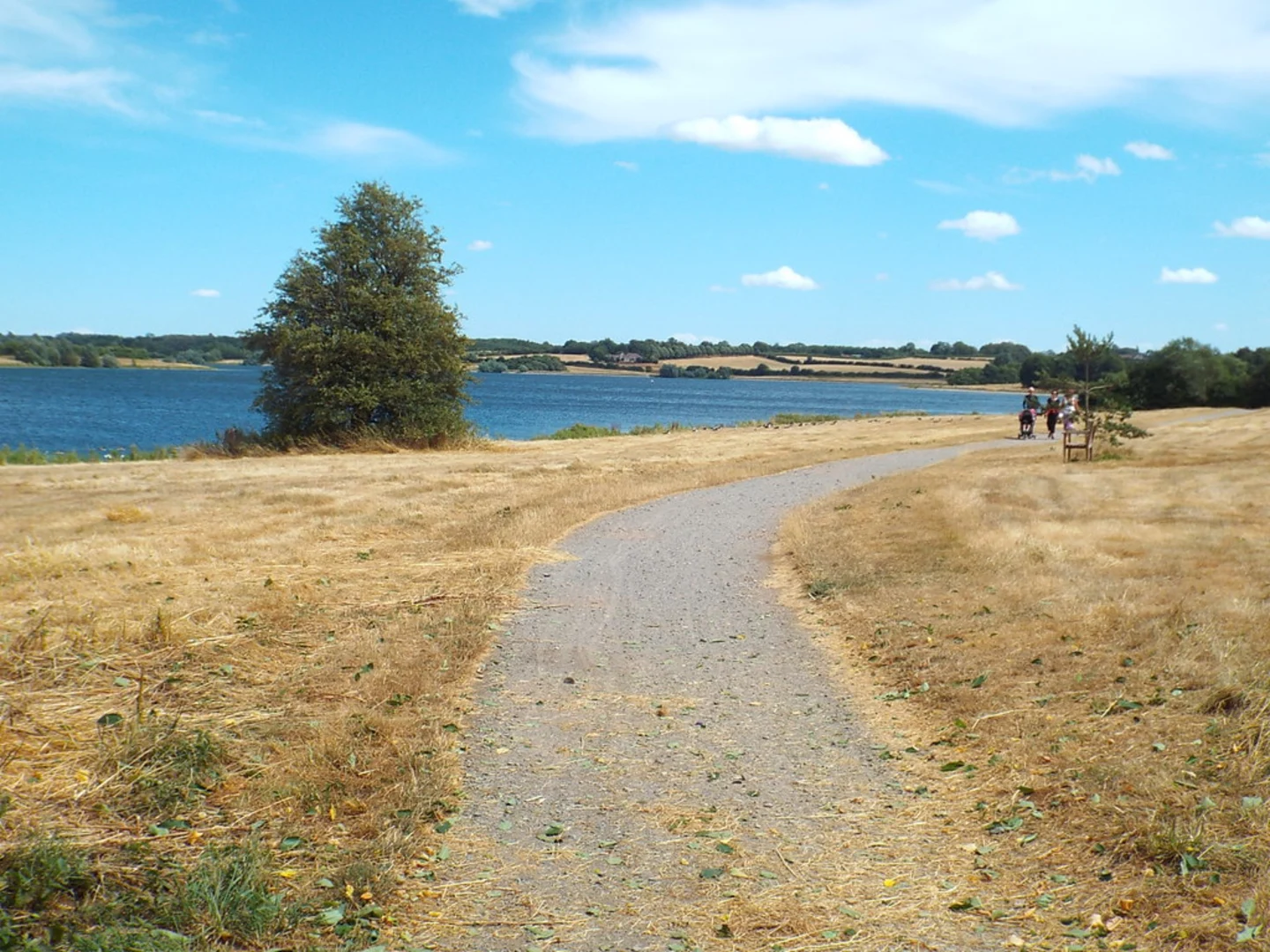 An image depicting the trail Pitsford Water Loop and its surrounding area.